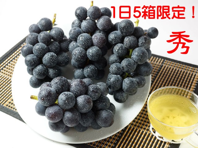 １日５箱限定！巨峰,葡萄,ぶどう,お彼岸,敬老の日,朝採り,収穫当日出荷,送料無料,ギフト