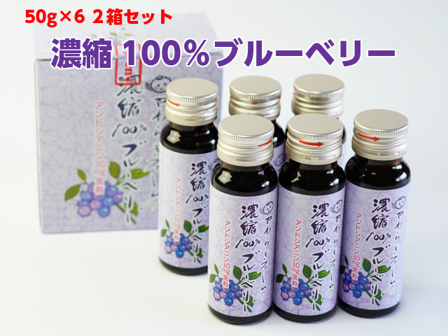 ギフト 生 ブルーベリー 2L A品 800g 100g×8 贈答用 茨城 産直 食物