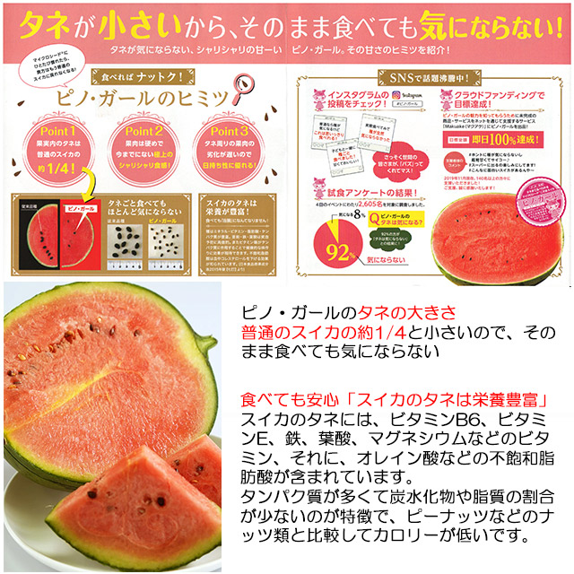 楽天市場】送料無料 小玉 スイカ ギフト 紅こだま西瓜