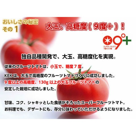 ギフト フルーツトマト スーパーフルーツ トマト 小箱×2 1箱8〜12玉 約800g  とまと  贈答用 茨城 産直｜oishiine-ibaraki｜04