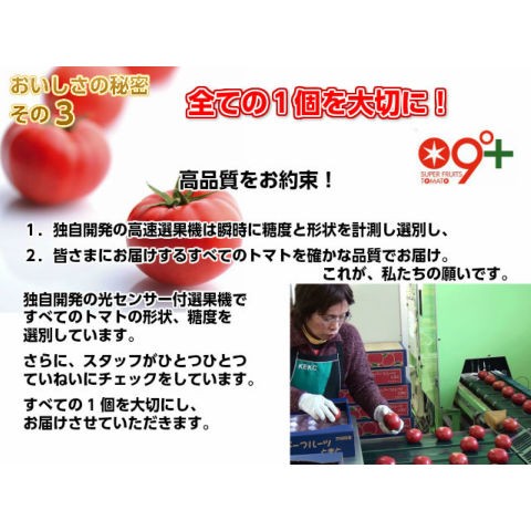 訳あり お試し フルーツトマト スーパーフルーツ トマト 大箱 20〜35玉 約2.3kg  とまと  茨城 産地直送｜oishiine-ibaraki｜06