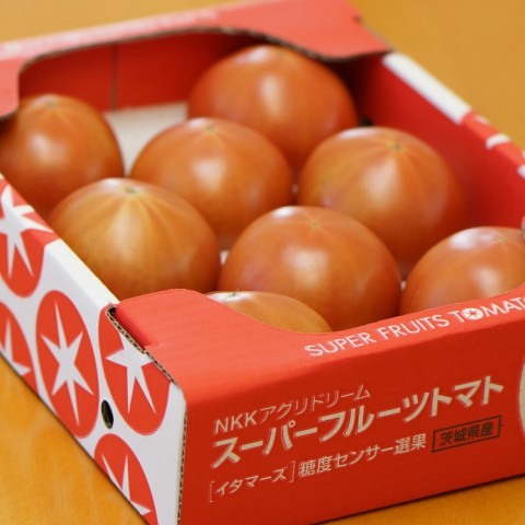 ギフト フルーツトマト スーパーフルーツ トマト 小箱×2 1箱8〜12玉 約800g  とまと  贈答用 茨城 産直｜oishiine-ibaraki｜08