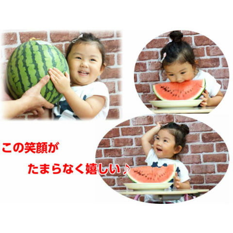 大玉 スイカ ギフト 吉田さんちの 羅皇ザスイート すいか 2L以上 大玉 スイカ ギフト 吉田さんちの 羅皇ザスイート すいか 2L以上