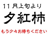 夕紅柿はこちら