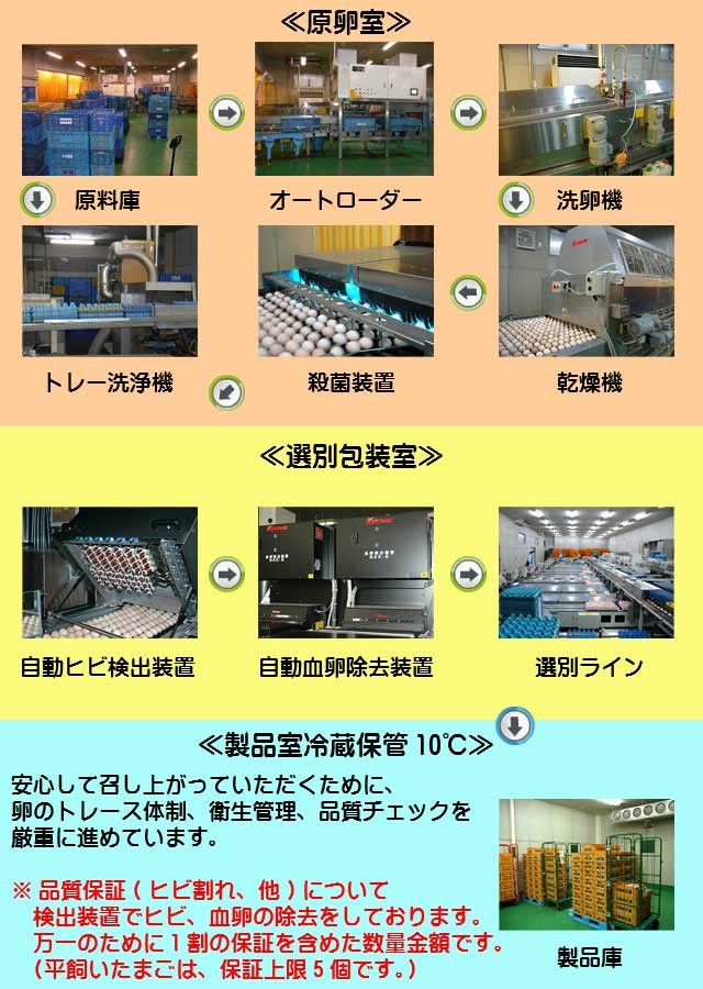 鶏卵センター,卵,たまご,タマゴ,玉子,茨城,やさと,産直たまご,送料無料,お取り寄せ,ギフト