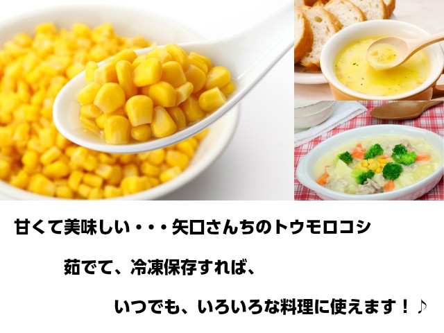訳ありトウモロコシ 茹でて冷凍保存すれば、いつでもいろいろな料理に使えてお得です。