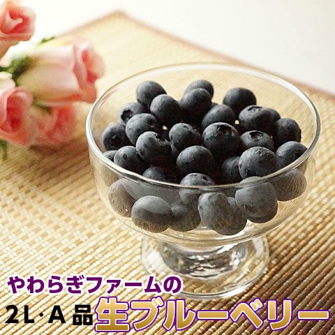 ギフト 生 ブルーベリー 2L A品 800g 100g×8 贈答用 茨城 産直 食物