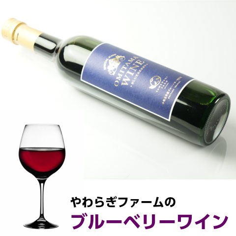 ギフト ブルーベリーワイン 500ml×1本 やわらぎ果実 720ml×1本 セット ブルーベリー ワイン ジュース｜oishiine-ibaraki｜02