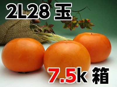 富有柿2L28玉はこちらから