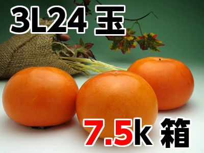 富有柿3L24玉はこちらから