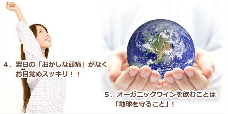 そもそもオーガニックワインって・オーガニックは何がいいのその3から