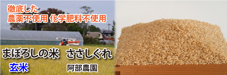 玄米農薬不使用