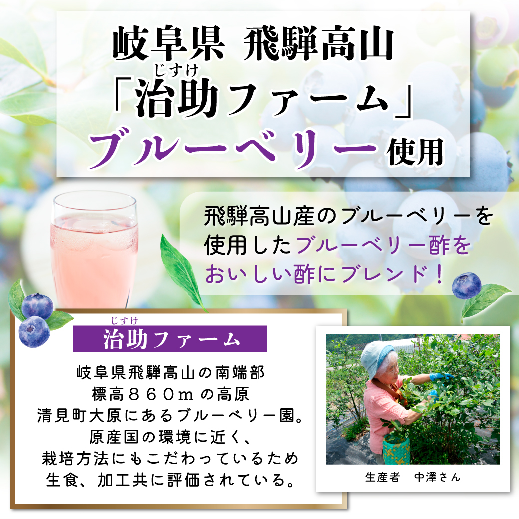飛騨高山治助ファームのブルーベリーを使用