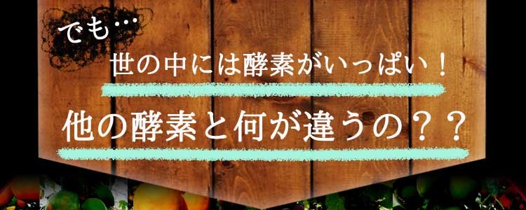 24H限定 酵素ジェンヌ500ml - 通販 - PayPayモール 2本セット コラーゲン、ヒアルロン酸配合の贅沢ドリンク 日本自然発酵PayPayモール店 在庫好評