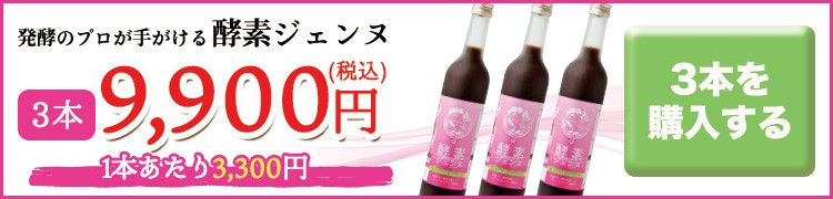 24H限定 酵素ジェンヌ500ml - 通販 - PayPayモール 2本セット コラーゲン、ヒアルロン酸配合の贅沢ドリンク 日本自然発酵PayPayモール店 在庫好評
