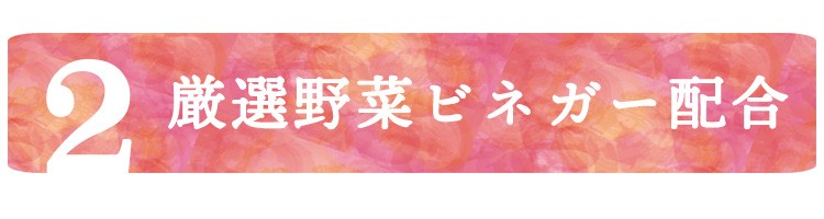 24H限定 酵素ジェンヌ500ml - 通販 - PayPayモール 2本セット コラーゲン、ヒアルロン酸配合の贅沢ドリンク 日本自然発酵PayPayモール店 在庫好評