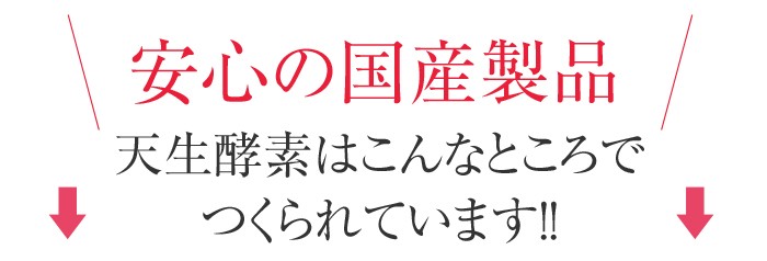 安心の国産製品