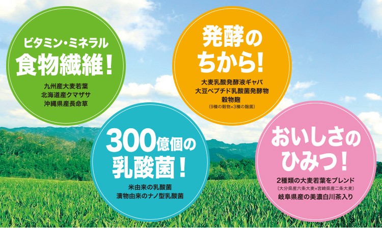 おいしい発酵青汁 日本自然発酵 （3g×30包）×1箱 酵素 サプリメント