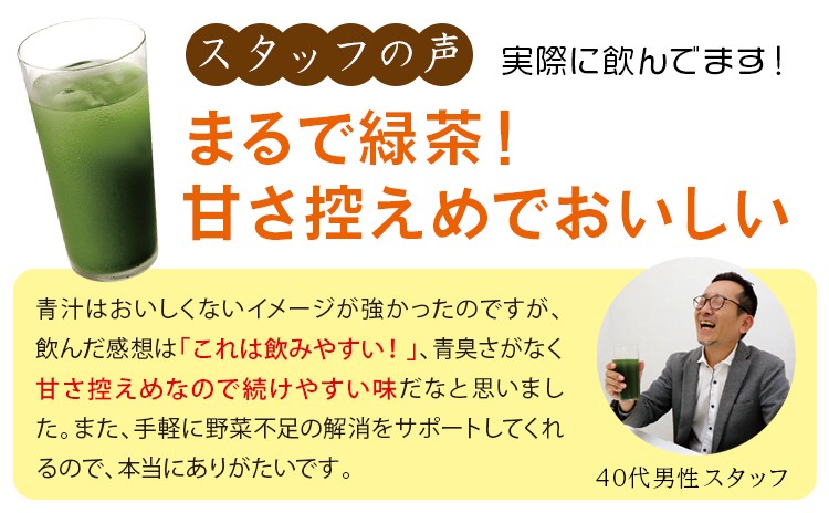 おいしい発酵青汁 日本自然発酵 （3g×30包）×1箱 酵素 サプリメント