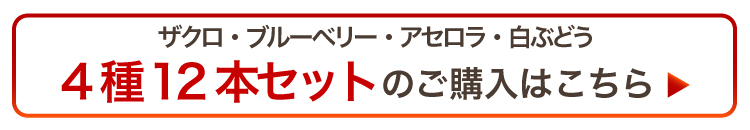 “4種12本セット（ザクロ・ブルーベリー・アセロラ・白ぶどう）”