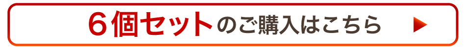 6個はこちら