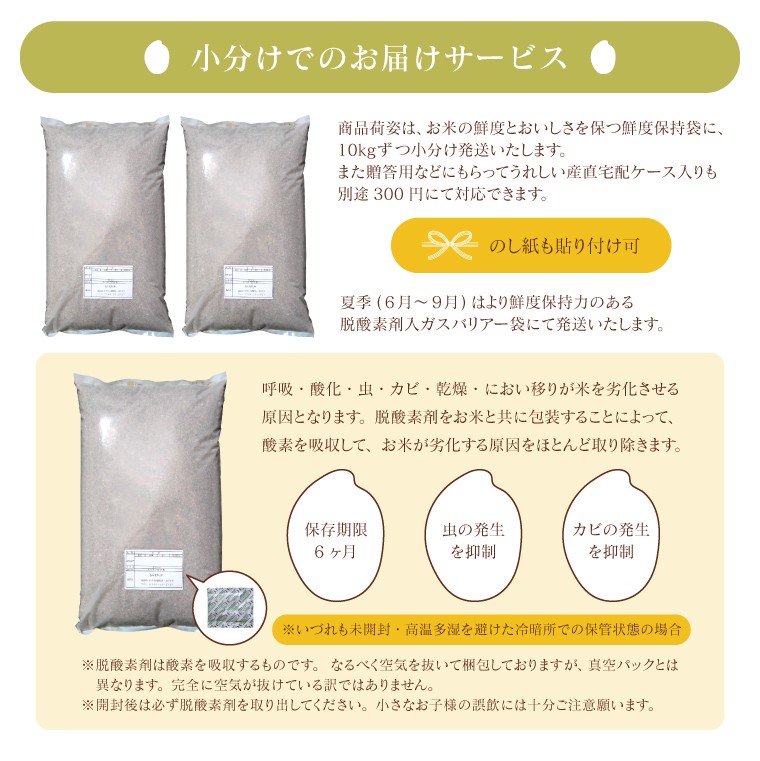 米 お米 30kg 農家蔵出し米 玄米 ブレンド米 セール 無洗米 送料