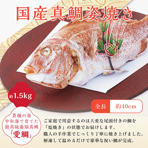 【リニューアル】お食い初め 料理セット お食い初め膳 燦々煌 使い切り食器付 盛付済 レンジOKの画像