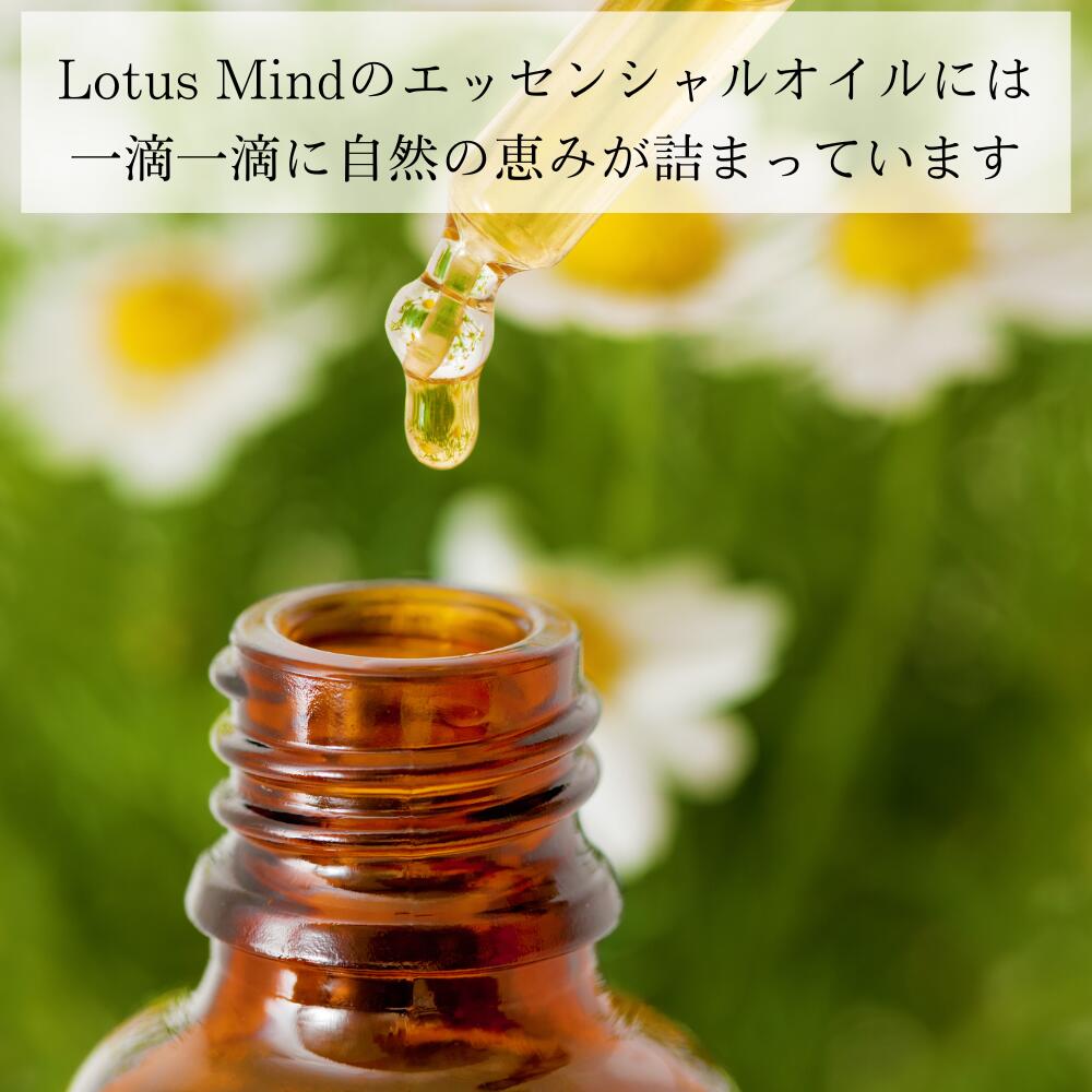 ヨモギ 精油 [20ml] エッセンシャルオイル オーガニック 天然 エジプト産 薬草 ハーブ 和漢 香木 お香 浄化 ロータスマインド :  oil-mugwort-20ml : 犬猫ペット用品輸入オジコペット - 通販 - Yahoo!ショッピング