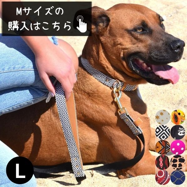 犬用 リード リーシュ 中型犬 大型犬 おしゃれ 可愛い アルゴス