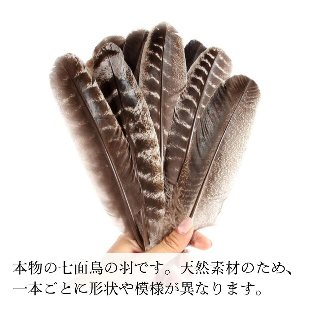 【超希少！】天然 オシドリの羽 「銀杏羽」野鳥 羽根 鳥の羽根 額縁入り オシドリ羽根 – kingfisher ～野鳥写真～