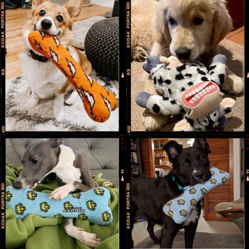 音声機能付きホワイトぬいぐるみ犬 音声機能付きホワイトぬいぐるみ犬 音声機能付きホワイト