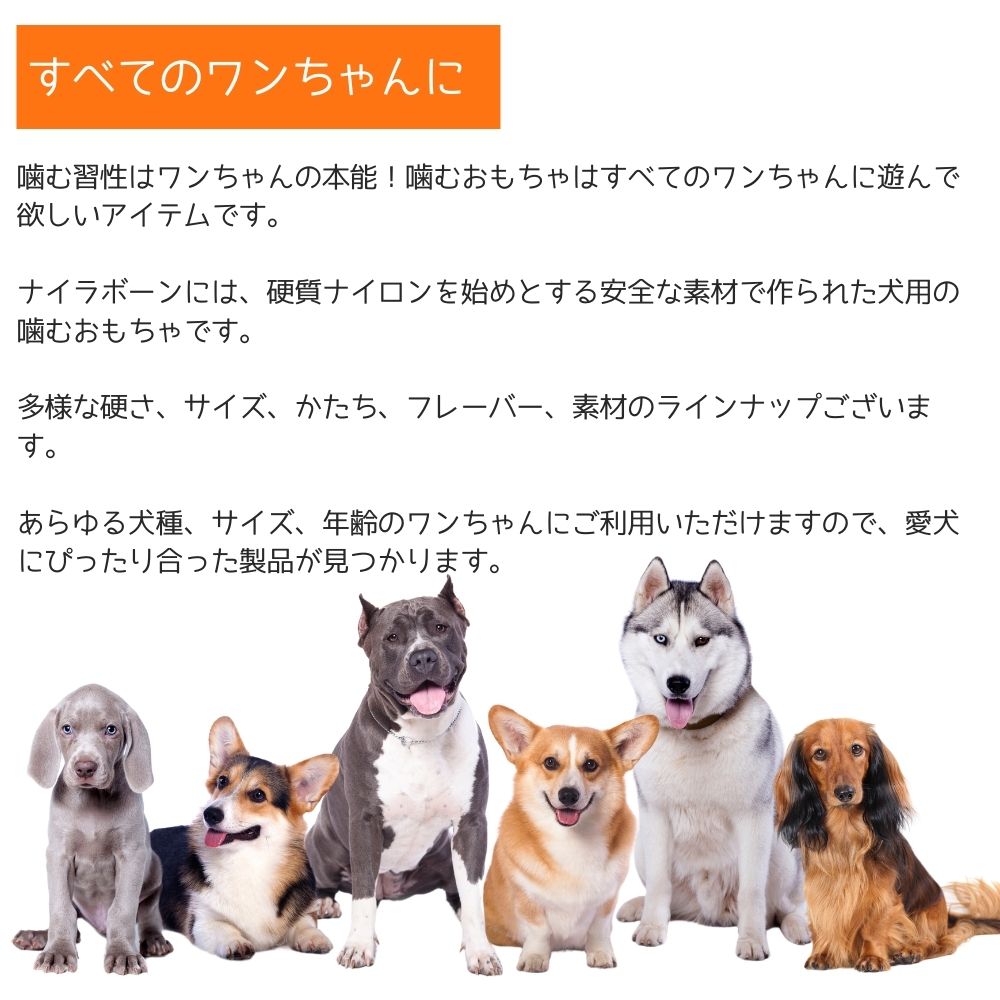 Nylabone ナイラボーン 犬用 噛むおもちゃ 骨型 ボーン パワーチュー