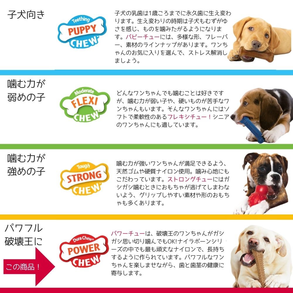 Nylabone ナイラボーン 犬用 噛むおもちゃ ダイナソー 恐竜 パワー