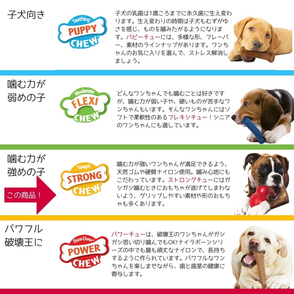 Nylabone ナイラボーン 犬用 噛むおもちゃ 骨型 ボーン パワーチュー