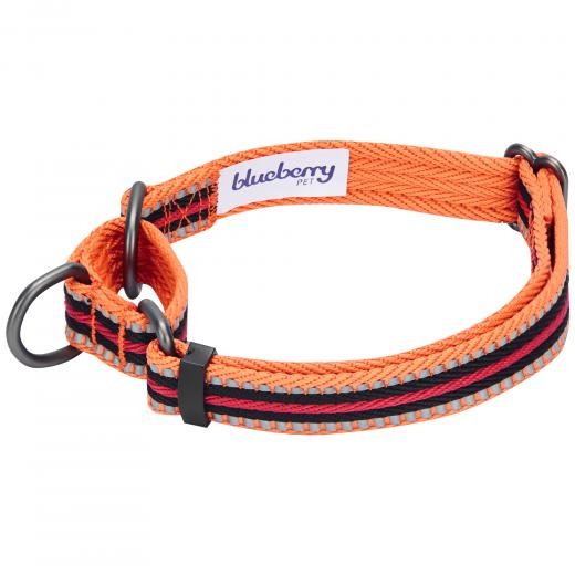 Blueberry ブルーベリー 犬用 チョークカラー ストライプ ハーフチョーク しつけ用 首輪 Blueberry Martingale Stripe オジコペット 通販 Yahoo ショッピング