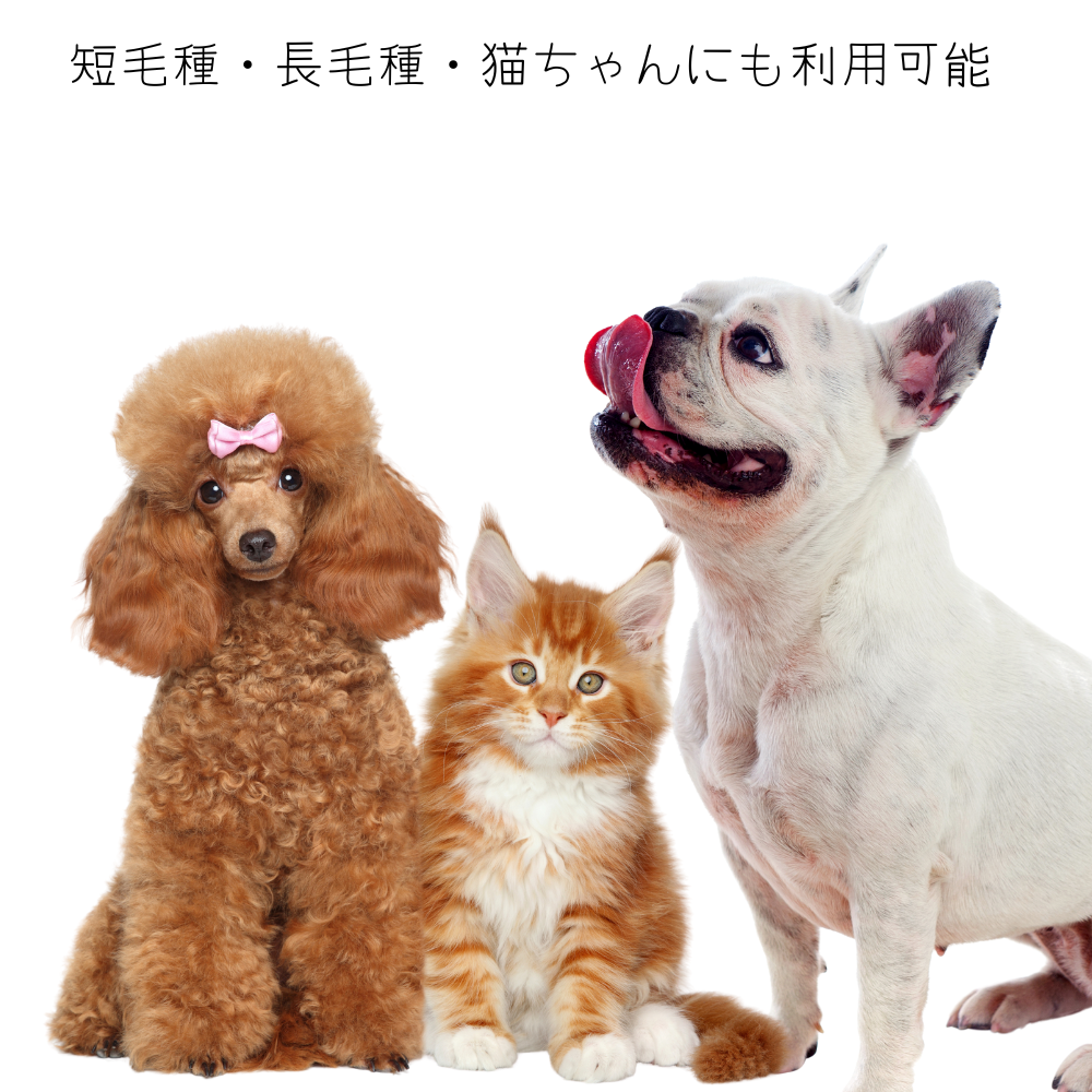 犬用 ブラシ 艶が出る イノシシ毛 竹製 高級 猫用 ペット用 Bamboo