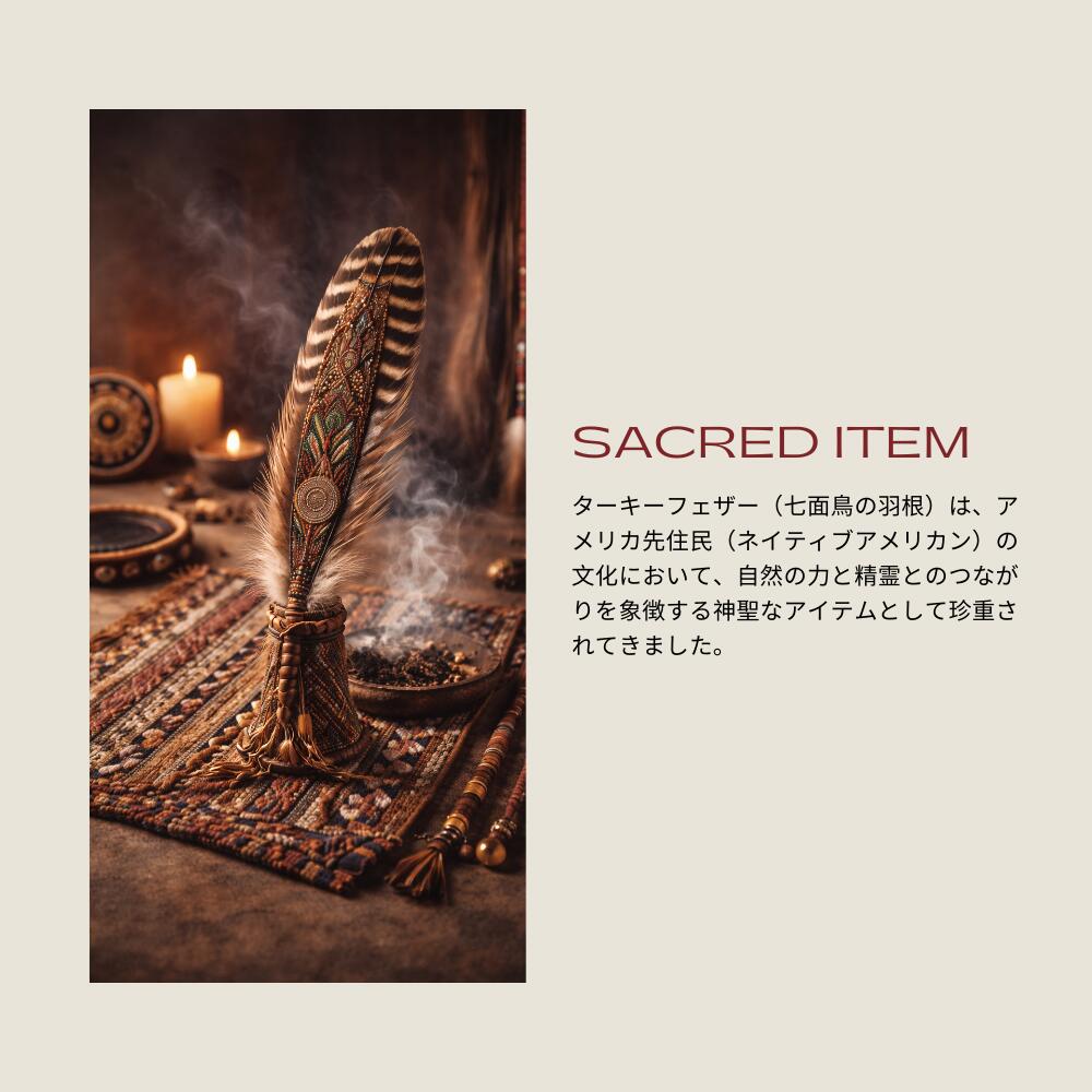 天然七面鳥の羽根 [1本] 鳥の羽根 スマッジング パロサント ホワイト