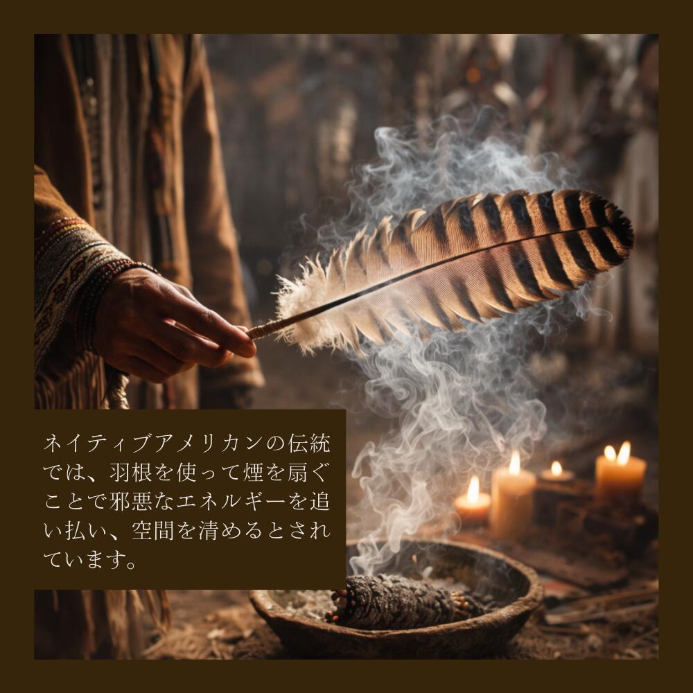 天然七面鳥の羽根 [1本] 鳥の羽根 スマッジング パロサント ホワイト