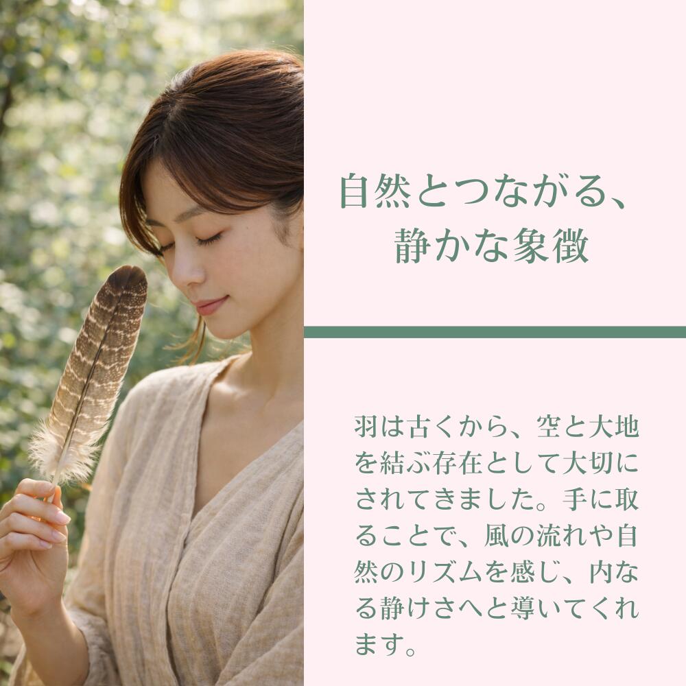 天然七面鳥の羽根 [1本] 鳥の羽根 スマッジング パロサント ホワイト