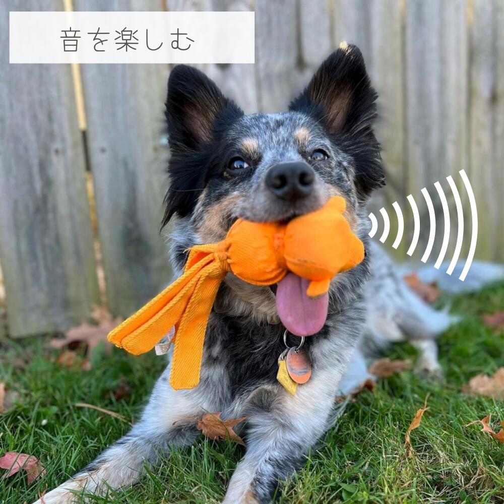 犬用のおもちゃ Amazon.co.jp: シミュレーション交尾犬おもちゃ、犬の睡眠発情