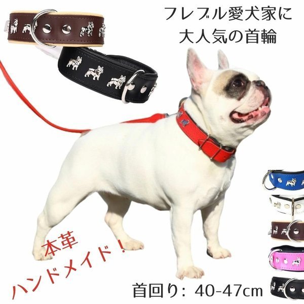 首輪 犬 OHFREDDY 本革 - 犬用品