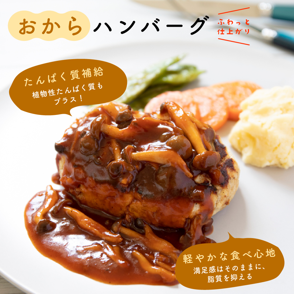 【1kg】おからパウダー (500g×2袋) ...の詳細画像2