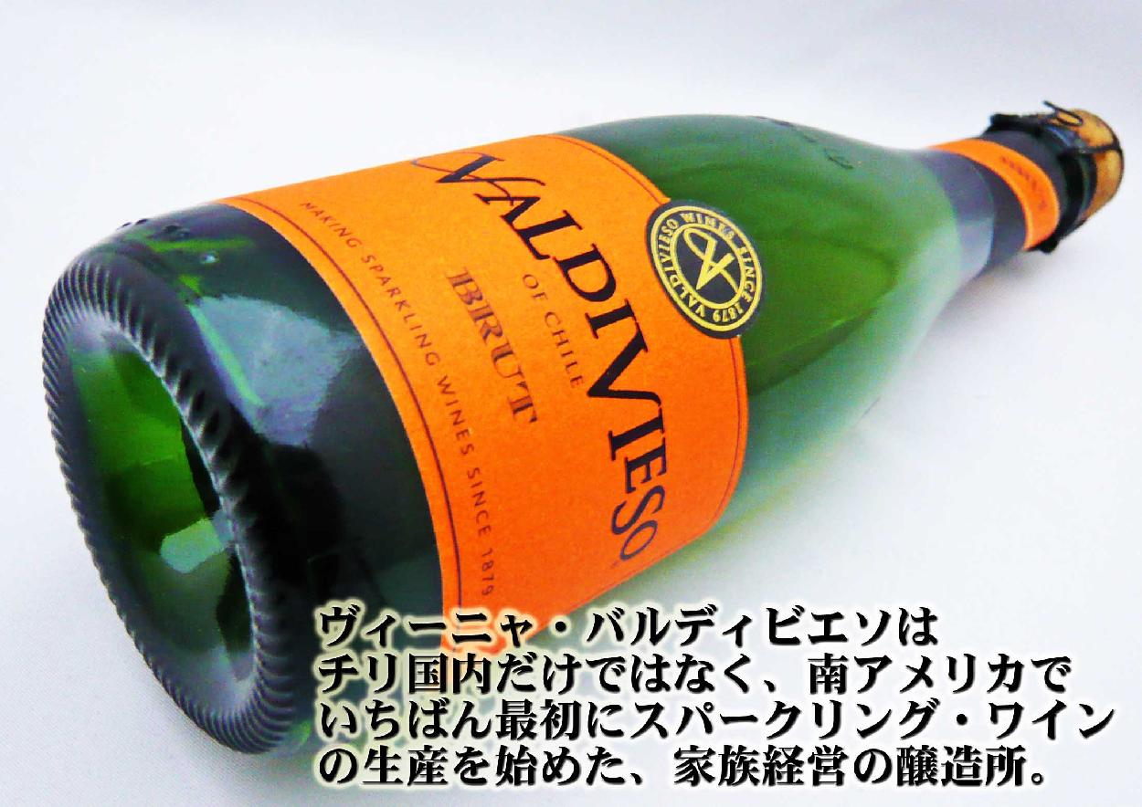 ワイン バルディビエソ ブリュット ハーフ 375ml チリ・スパークリング sparkling :30130:岡田屋酒店 - 通販 -  Yahoo!ショッピング