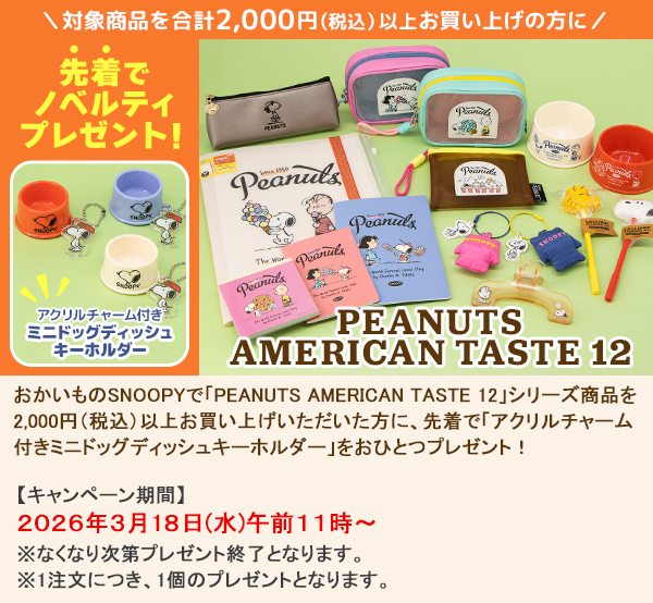 SNOOPY（スヌーピー） 【AT12】 ノートセットB6・B7 (PEANUTS AMERICAN