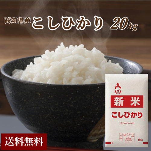 新米 令和5年産 10kg 高知県産 コシヒカリ (5kg×2袋) 米 送料無料 令和