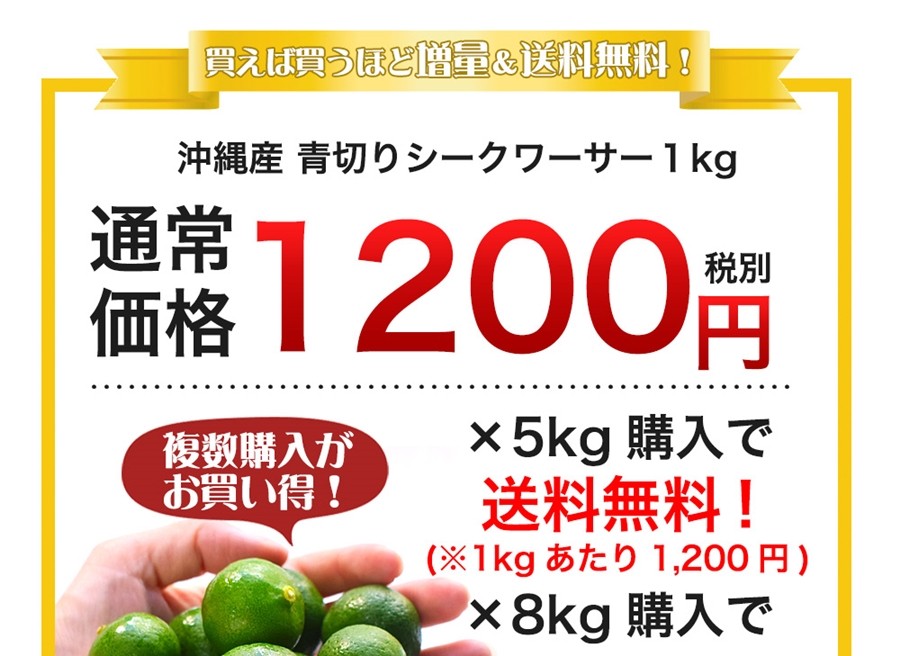 シークワーサー 果実 青切り 生 青切りシークワーサー1kg