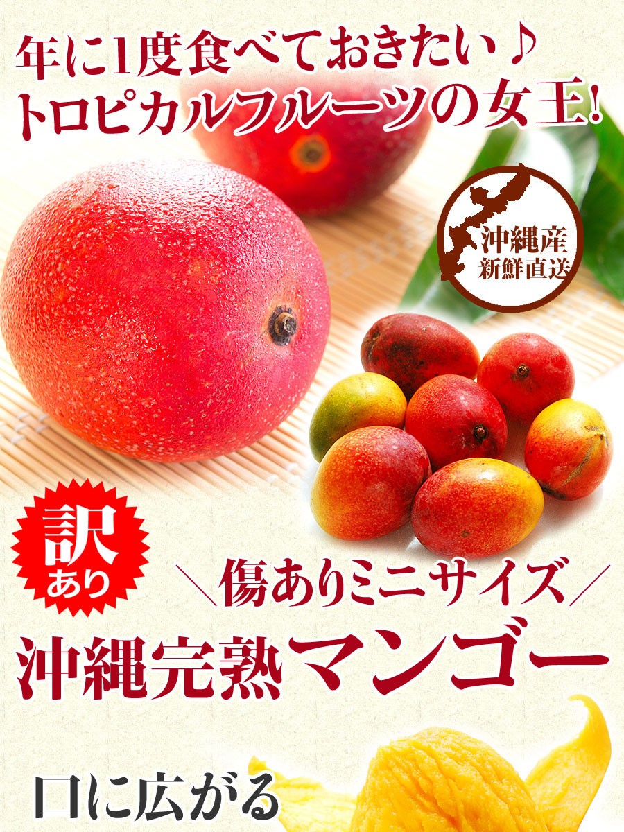 受賞店 ミニマンゴー 沖縄 マンゴー 500g 訳あり 完熟 キズあり