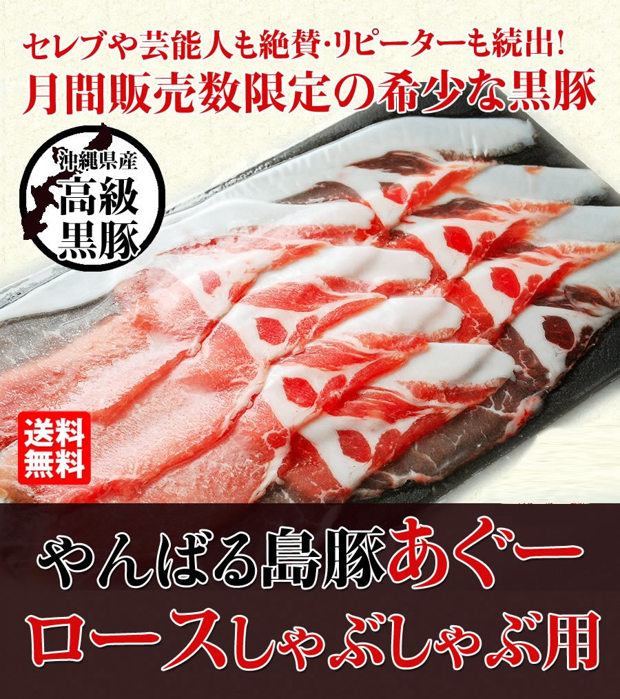 期間限定送料無料 あぐー豚 ロース しゃぶしゃぶ５袋 各100g 個包装 数量限定 Www Muslimaidusa Org