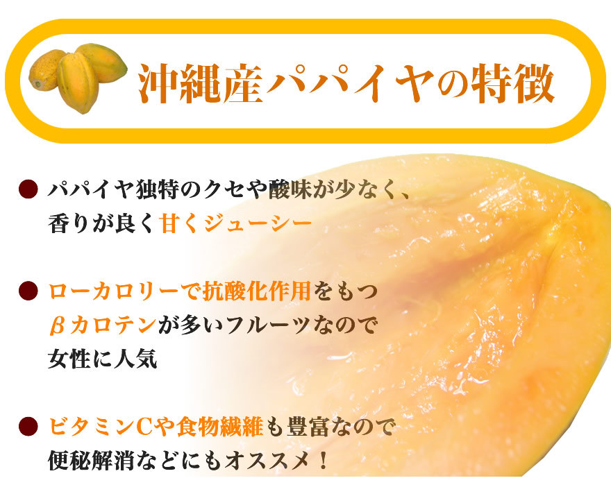 ついに再販開始 カポポソロ種 パパイヤ トロピカルフルーツ