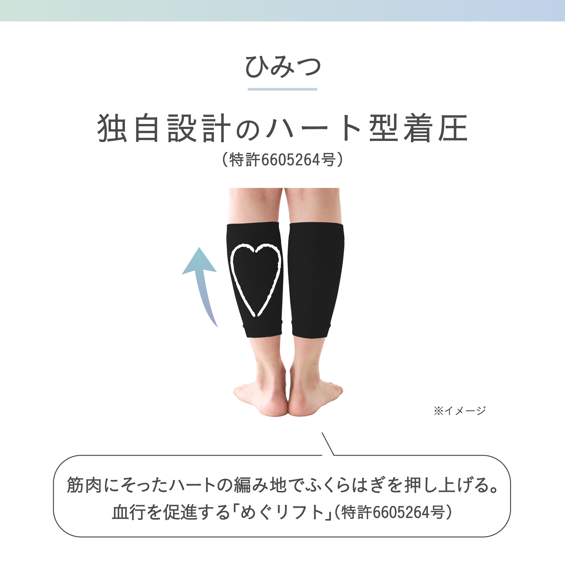靴下サプリ 靴下の岡本公式 ふくらはぎ押し上げサポーター レディース